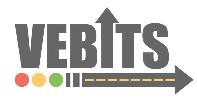 Vebits Team